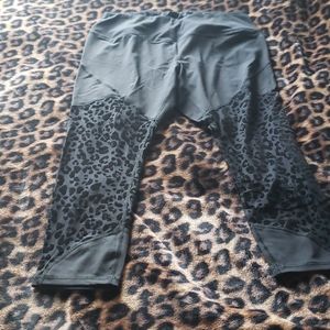 Torrid active pants